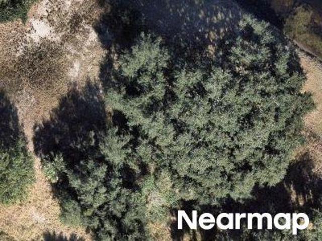 Land for sale in Sebring, Florida