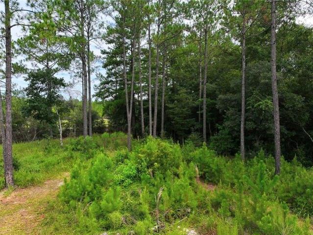 Land for sale in Chunchula, Alabama