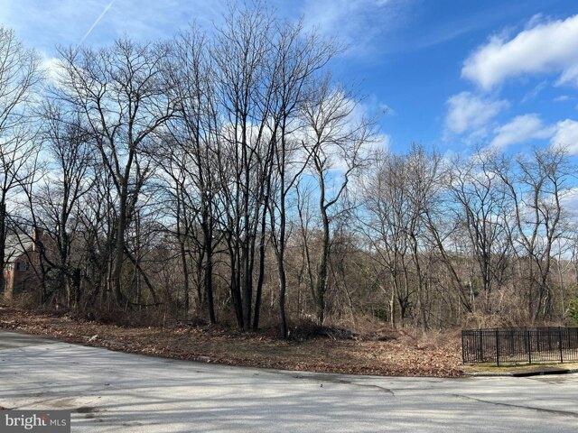 Land for sale in Bryn Mawr Land for sale in Bryn Mawr