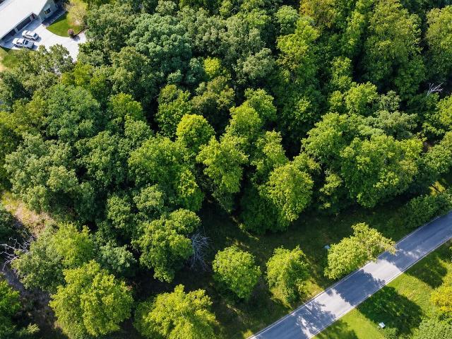 Land for sale in Caryville, East Tennessee