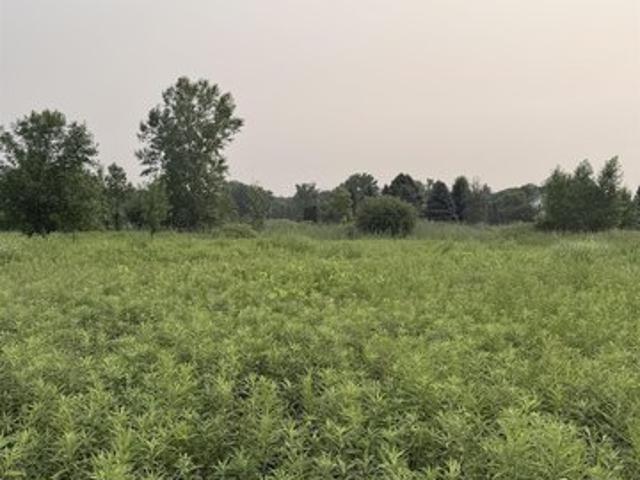 Land for sale in Little Suamico, Wisconsin