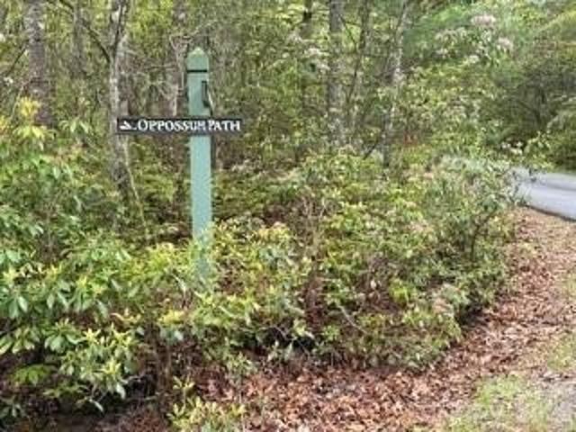 Land for sale in Transylvania, North Carolina