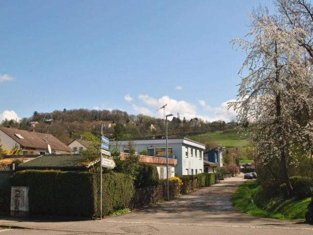 Apartment mieten in Freiburg, Wiehre