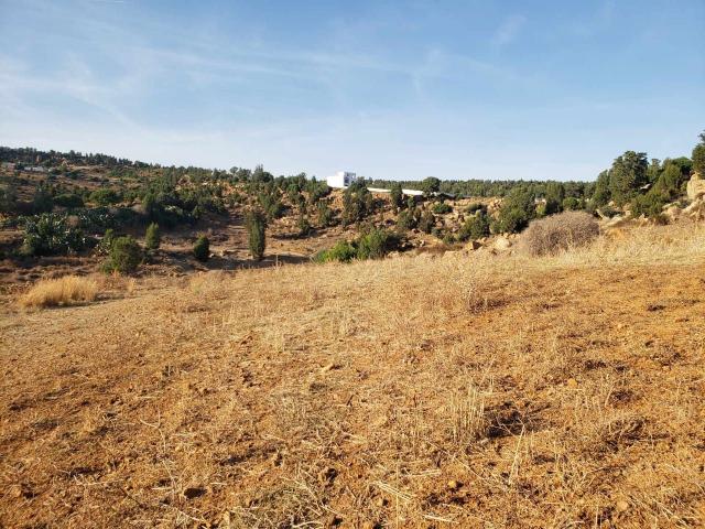 Maison vente à Beni Khalled