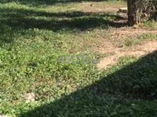 Propriété vente à Sidi Qacem