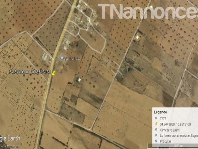 Terrain vente