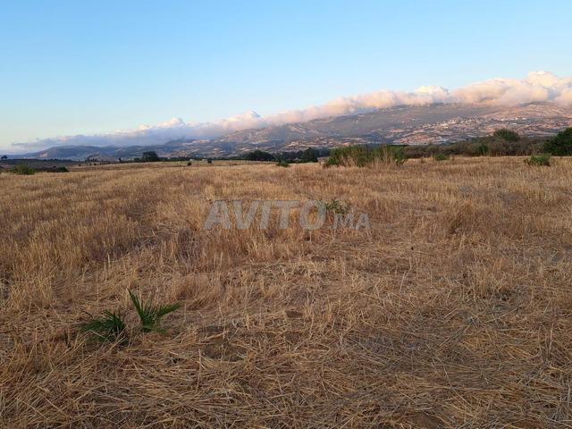 Propriété vente à Tétouan, Tanger-Tétouan