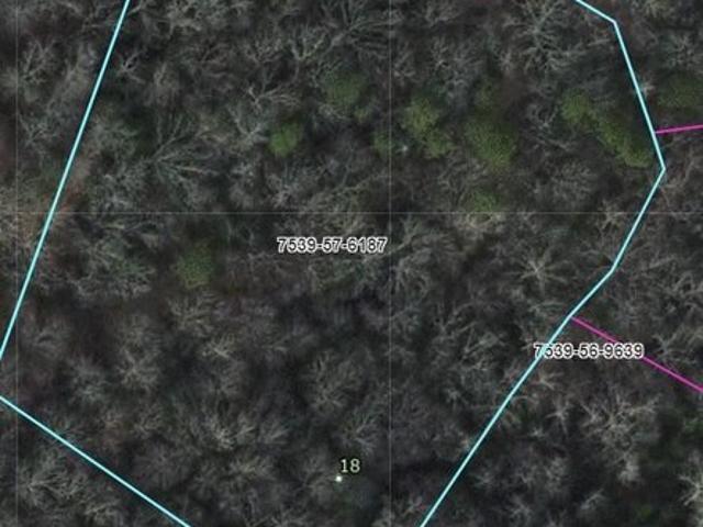 Land for sale in Sylva, Jackson County