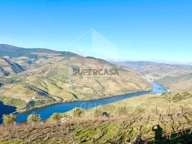 Terreno venda em Castanheiro do Sul, São João da Pesqueira