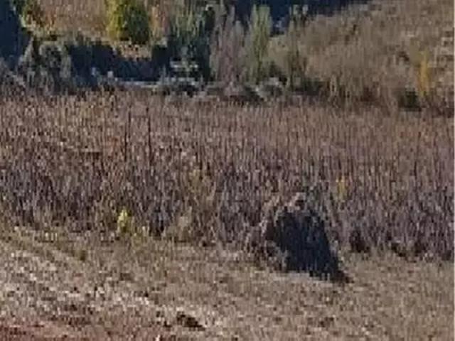 Terrain vente à Narbonne, Fraissé-des-corbières