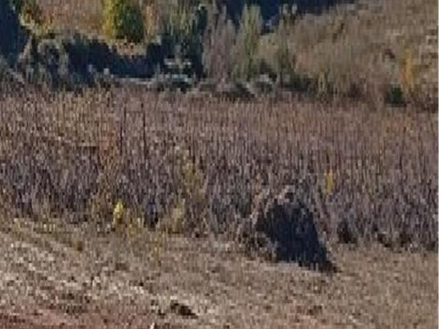 Terrain vente à Narbonne, Fraissé-des-corbières