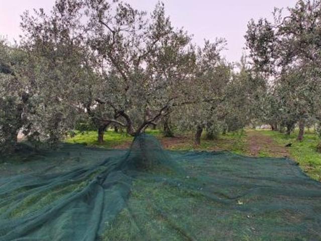 Terreno in vendita a Francavilla Al Mare, Abruzzo