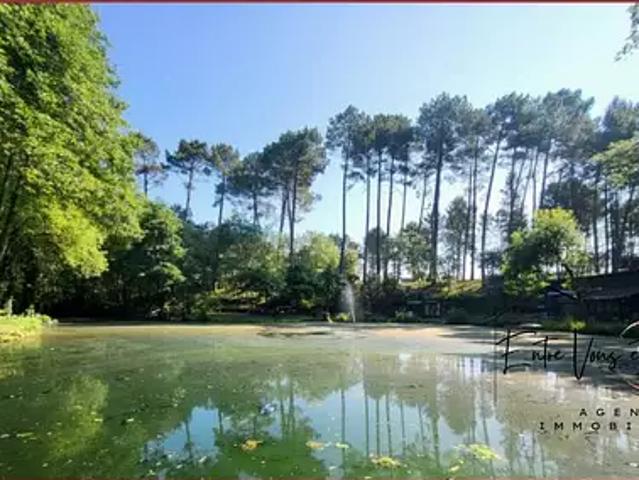 Maison vente à Martinique