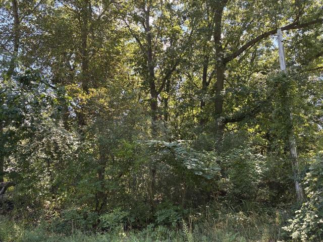Land for sale in Michigan