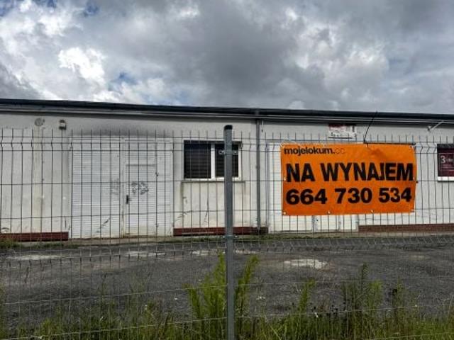 Mieszkanie do wynajęcia w Zgorzelec, Dolnośląskie