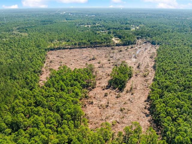Land for sale in Lacombe, Louisiana