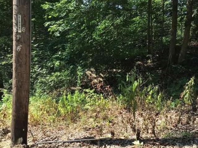 Land for sale in Dubois, Indiana