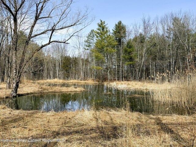 Land for sale in Acra, New York
