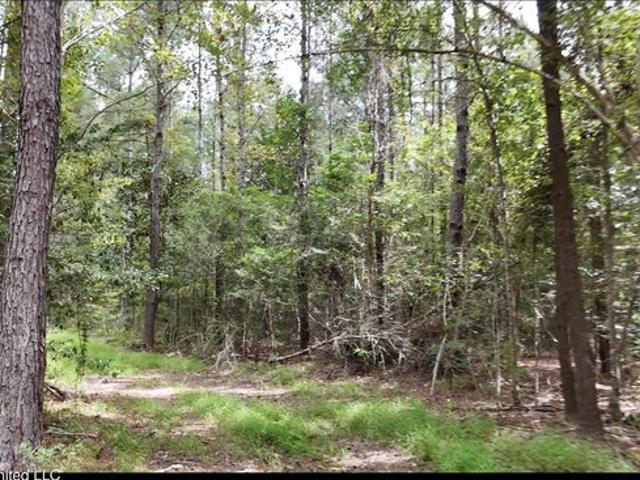 Land for sale in Lucedale, Mississippi
