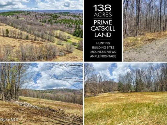 Land for sale in Oneonta, New York