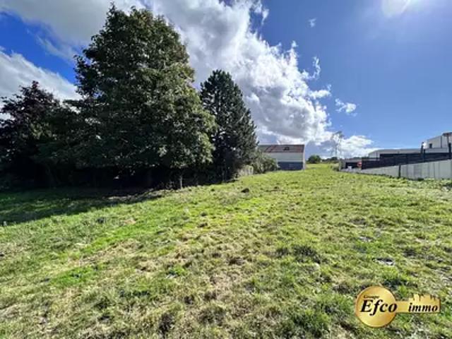 Terrain vente à Franken, Collectivité européenne d'Alsace
