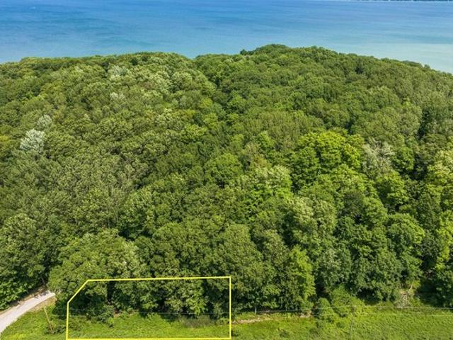 Land for sale in Frankfort, Michigan