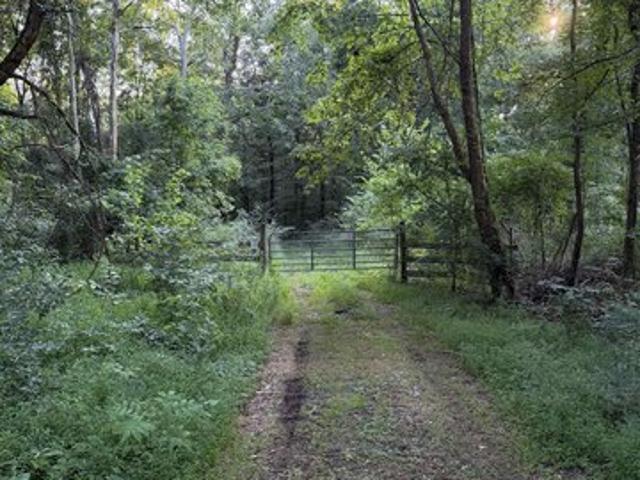 Land for sale in Valdosta, Tuscumbia