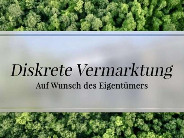 Industrie kaufen in Frankfurt am Main, Sachsenhausen
