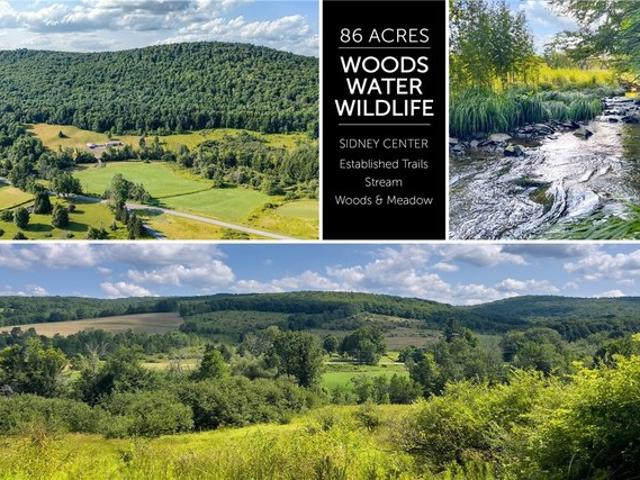 Land for sale in Sidney, New York