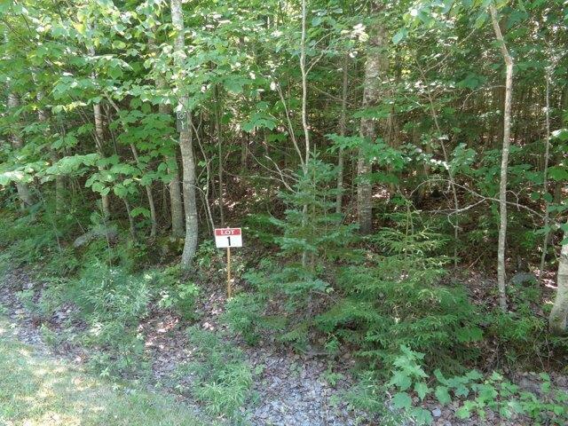 Land for sale in Franklin, Maine