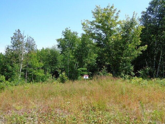 Land for sale in Franklin, Maine
