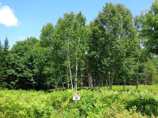 Land for sale in Franklin, Maine