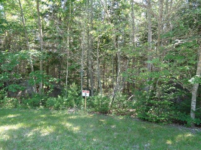 Land for sale in Franklin, Maine