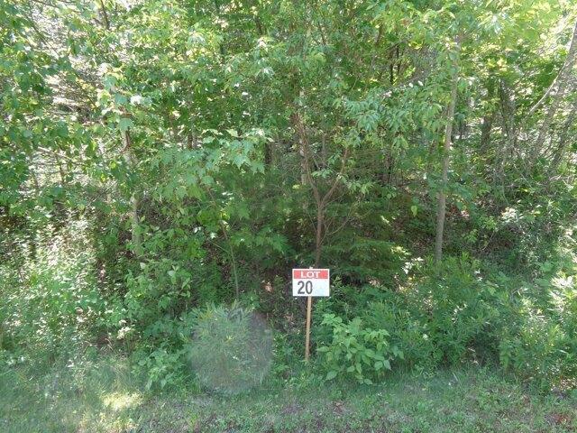 Land for sale in Franklin, Maine
