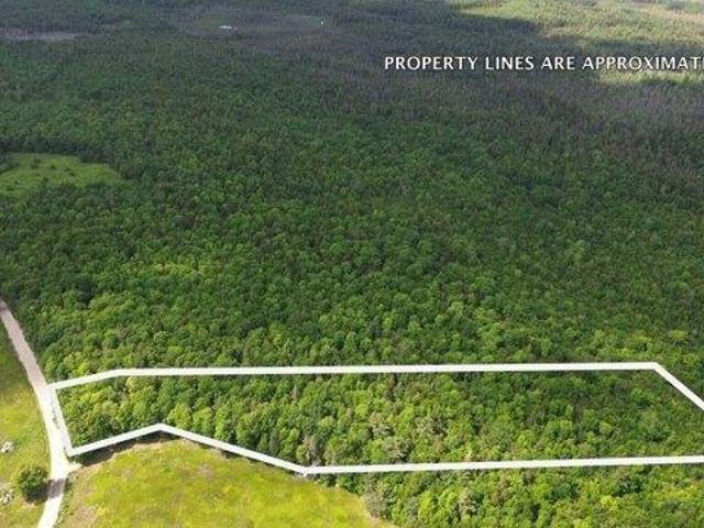 Land for sale in Maine