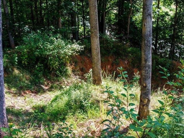 Land for sale in Franklin, North Carolina