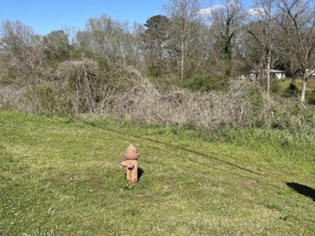 Land for sale in Roanoke, Alabama