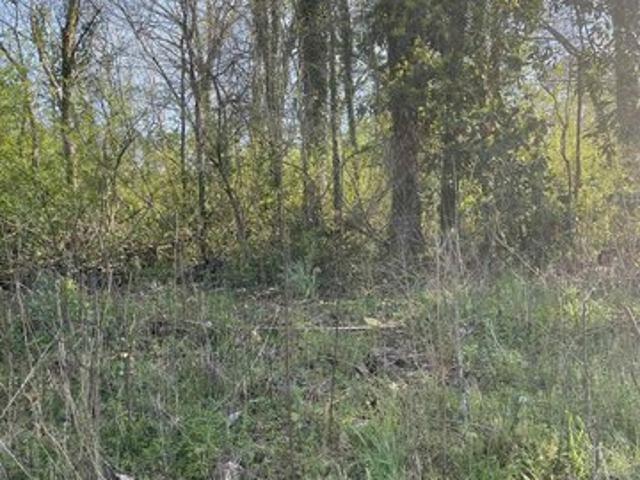 Land for sale in Roanoke, Alabama