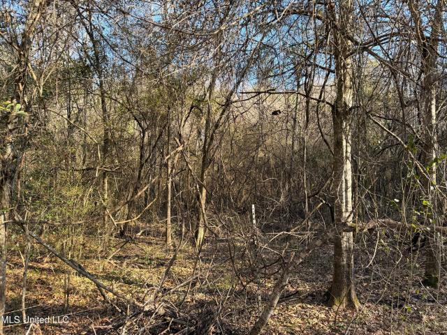 Land for sale in Summit, Mississippi