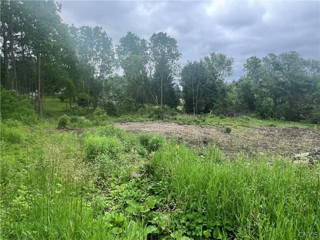 Land for sale in Cortland, New York
