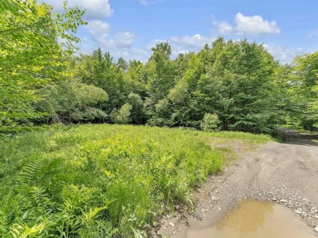 Land for sale in Lowell
