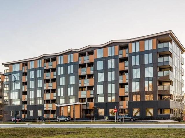 Apartment for rent in Otakou