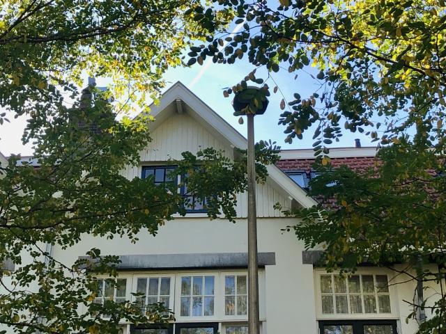 Studio te huur in Utrecht, Schildersbuurt