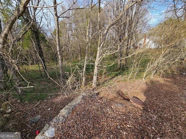 Land for sale in Lindale, Georgia