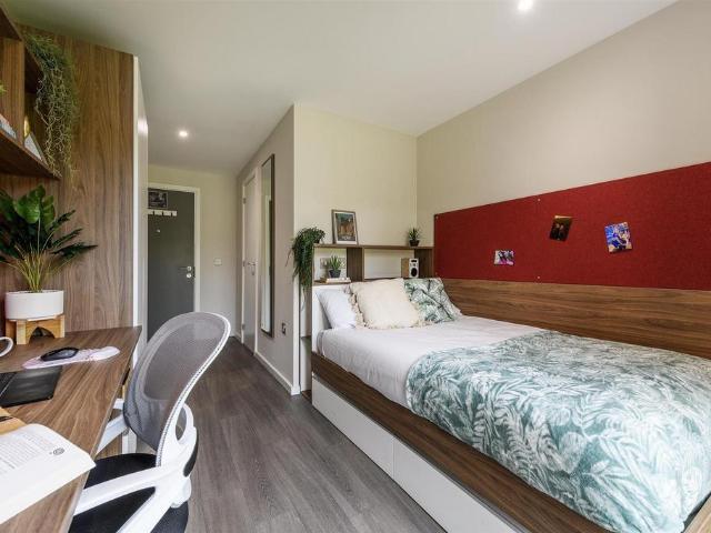 House for rent in Fishergate, High Field