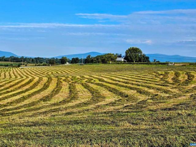 Land for sale in Ruckersville, Greene County