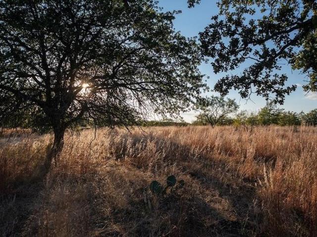 Farm for sale in Texas