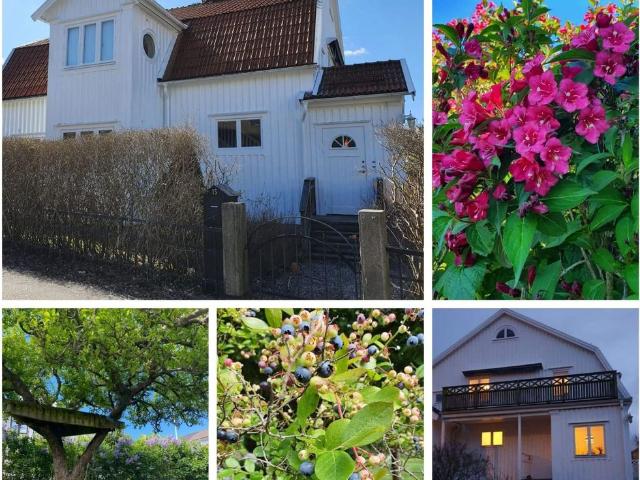 Rum hyra i Göteborg, Västra Götaland