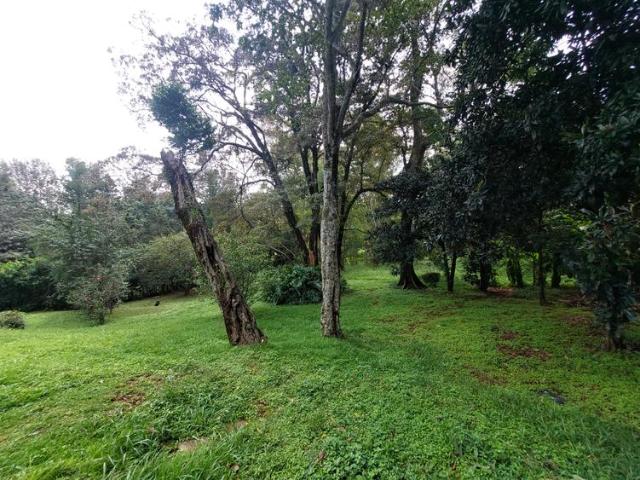 Land for sale in Lavington, Westlands