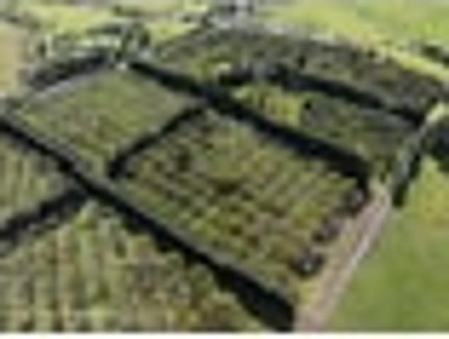 Land for sale in Fairburn, Northland